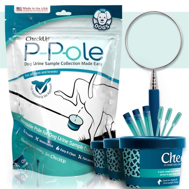 CheckUp P-Pole
