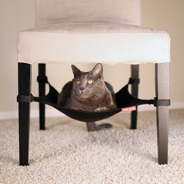 CATCRIB Hammac pour chats