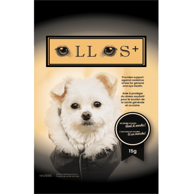OLLOS Original