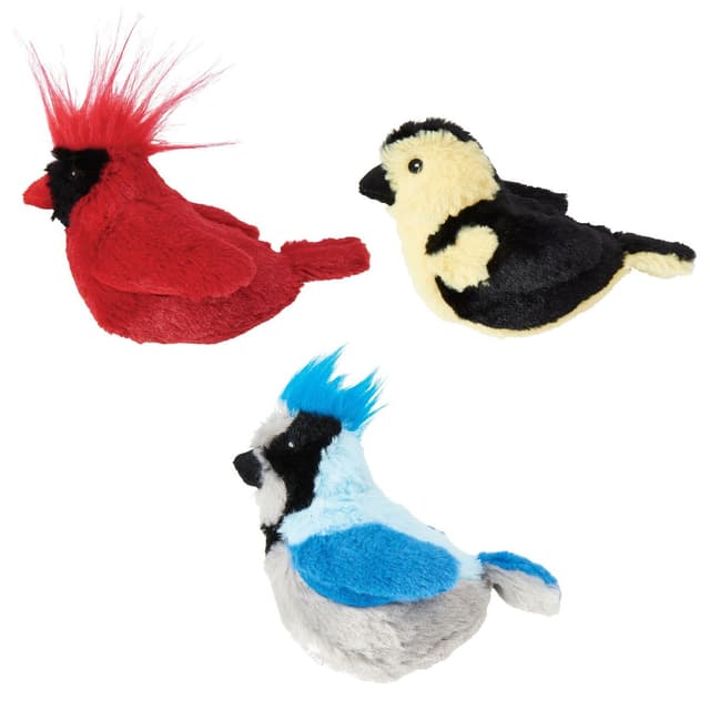 SPOT Oiseaux chanteurs pour chat