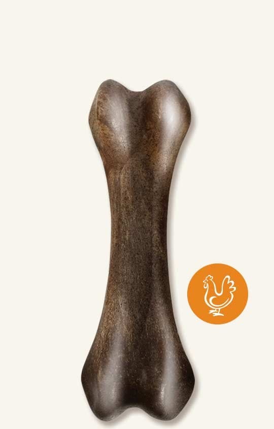 ZEUS NOSH Os Robuste, Poulet (M)