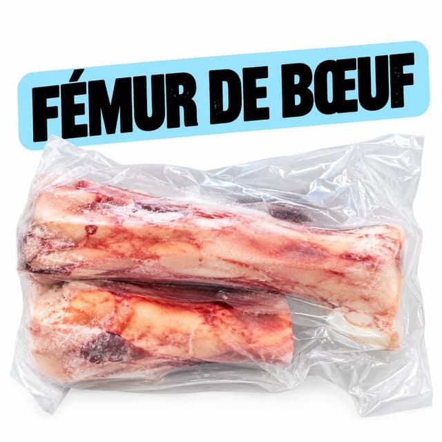 LB-C Fémur de boeuf